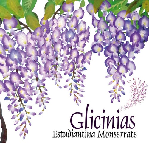 GLICINIAS