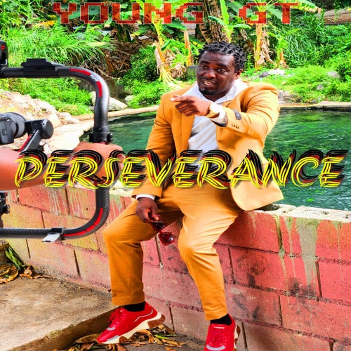 Perseverance