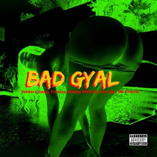 Bad Gyal (feat. Slk Charlie & Gunsize)