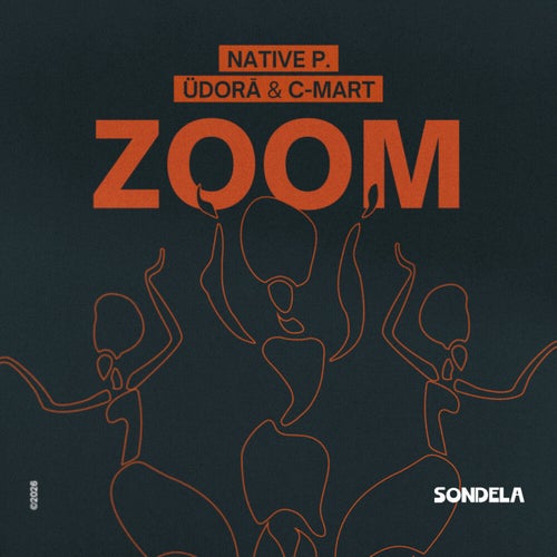 Zoom