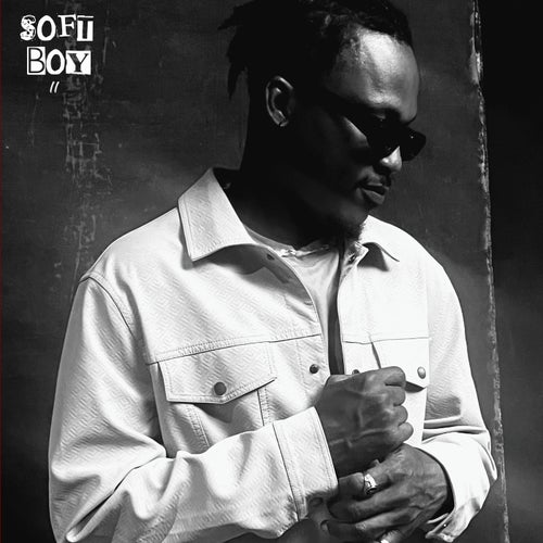 Soft Boy II (Deluxe)