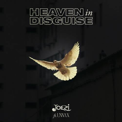 Heaven in Disguise (Extended Mix)