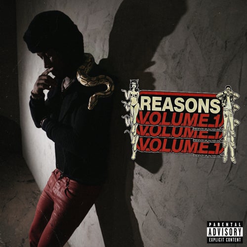 reasons, Vol. 1