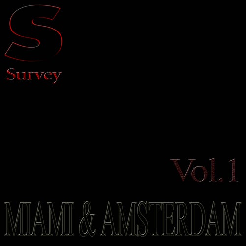MIAMI & AMSTERDAM, Vol.1