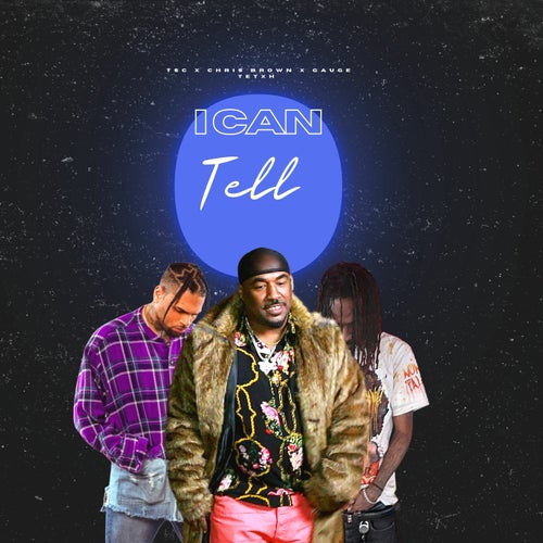 I Can Tell ( Remix ) Clean