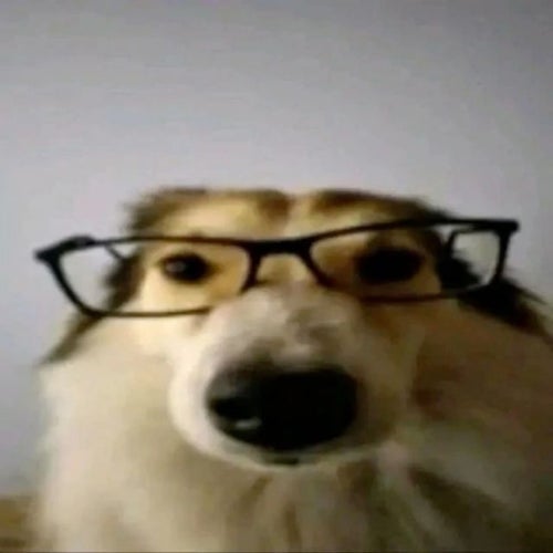 I'M A DOG!