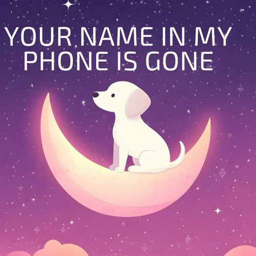 Your Name in My Phone Is Gone