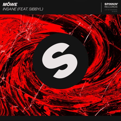 Insane (feat. Sibbyl) (Extended Mix)
