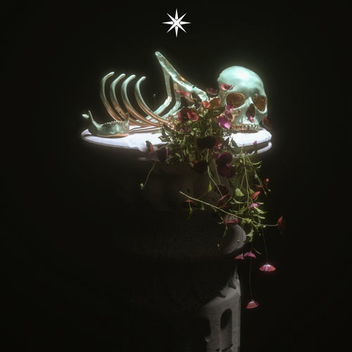 Release of the week