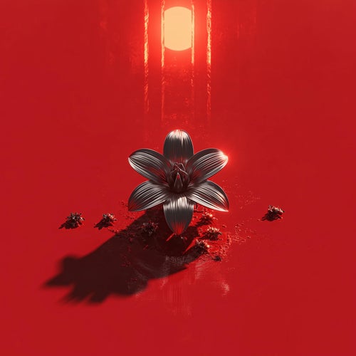 Release of the week