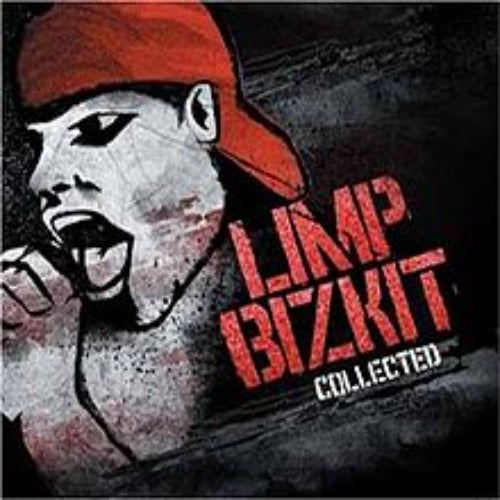 Limp Bizkit / Interscope Profile