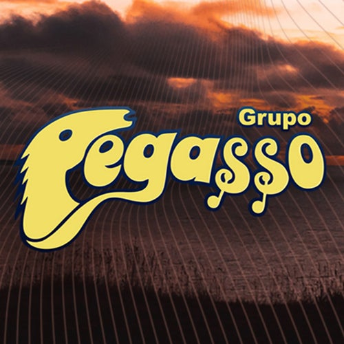 Grupo Pegasso Profile
