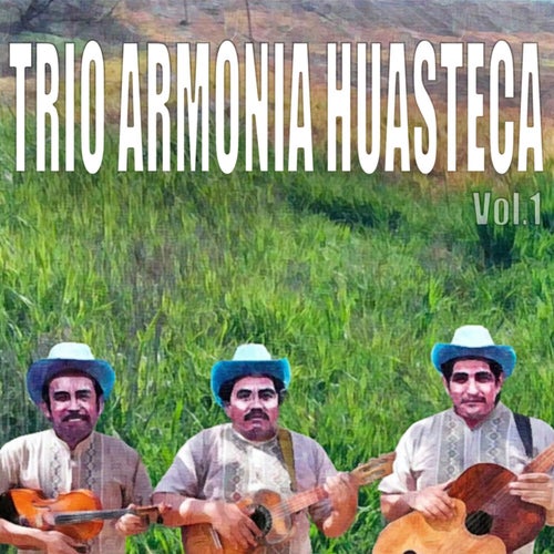 Trio Armonia Huasteca, Vol.1