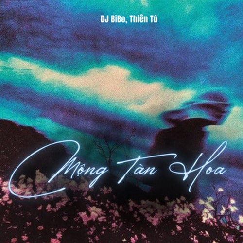Mộng Tàn Hoa (DJ Bibo Remix)