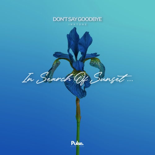 Don't Say Goodbye (Extended Mix)
