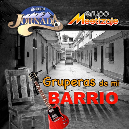 Gruperas De Mi Barrio