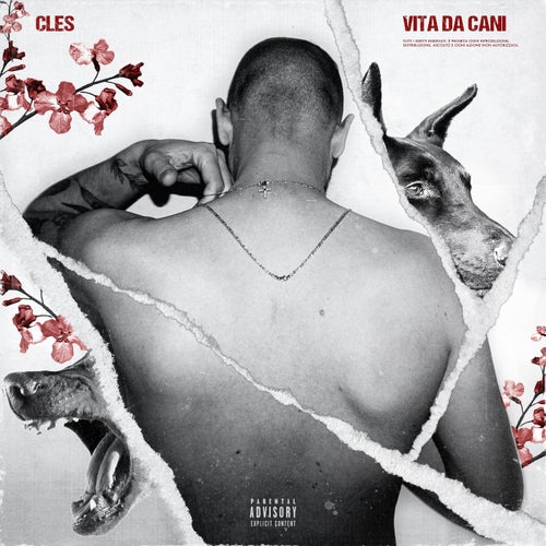 Vita da cani
