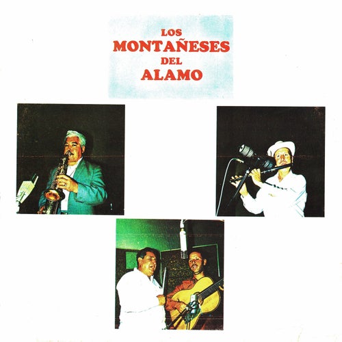 Los montaneses del Alamo