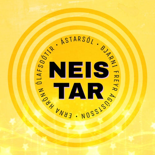 Neistar (Neistaflug 2008)