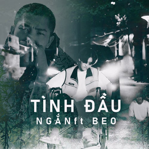 Tình Đầu