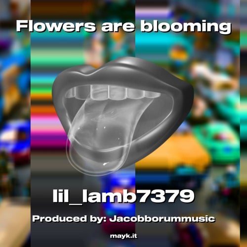 Flowers are blooming