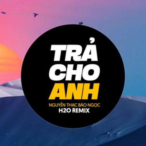 Trả Cho Anh (Remix EDM)