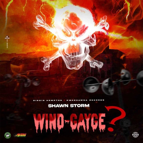 Wind Gayge