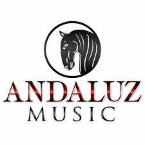 Andaluz Music - Banda Carnaval Profile