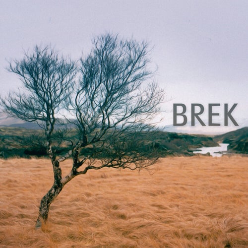 Brek