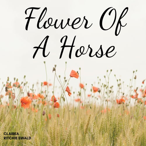 Flower Of A Horse