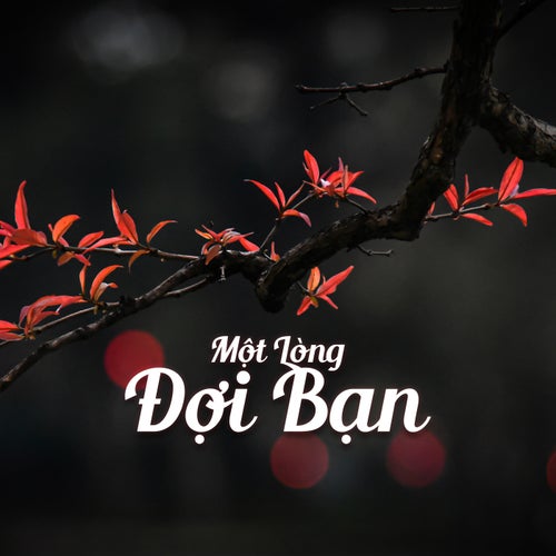 Một Lòng Đợi Bạn