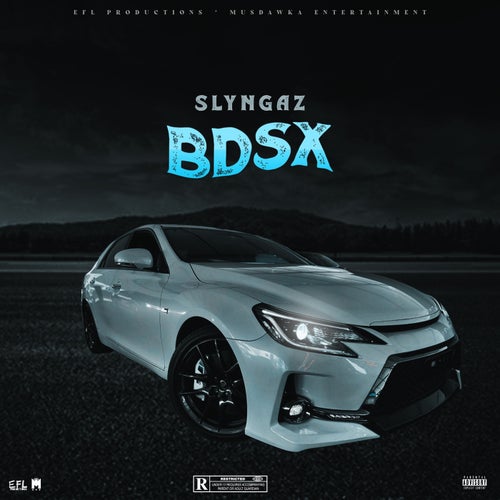 BDSX