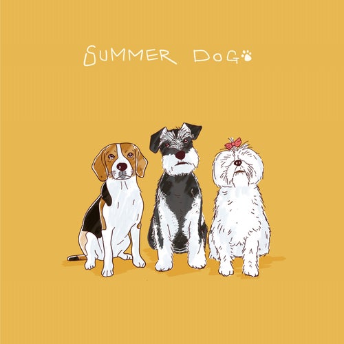 Summer Day