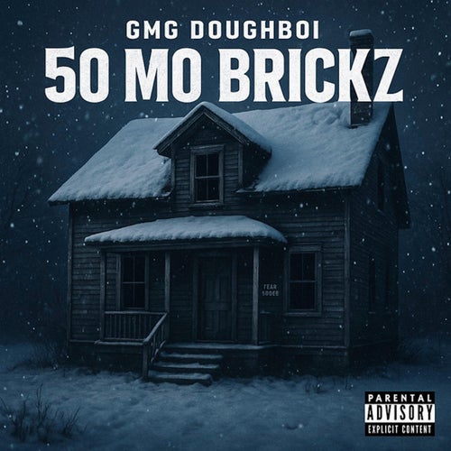 50 MO BRICKZ