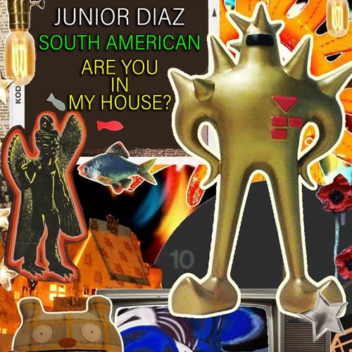 South American - Are You In My House?