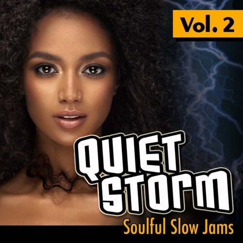 Quiet Storm: Soulful Slow Jams, Vol. 2