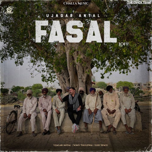 Fasal (Lofi)