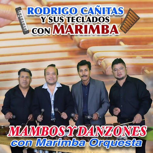 Mambos y Danzones Con Marimba Orquesta (En Vivo)