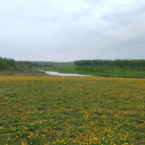 Осень