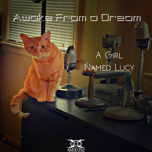 A Girl Named Lucy