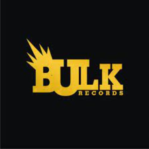 BULK RECORDINGS Profile