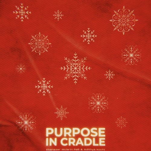 Purpose in Cradle