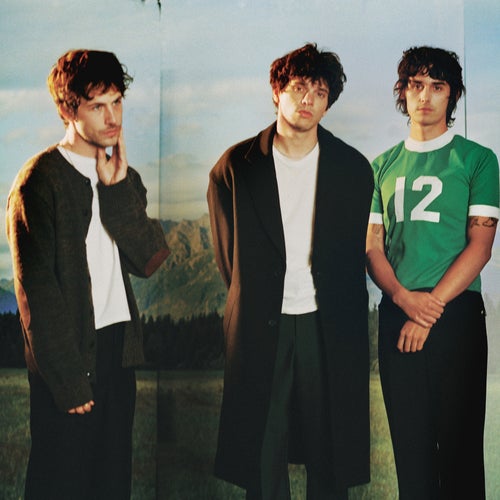 Wallows Profile
