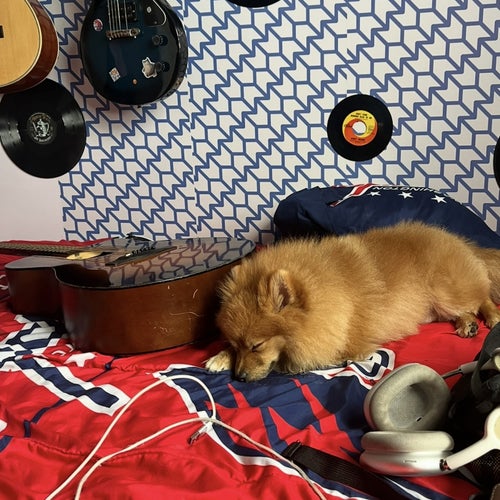 Conflicto de Amar (Acústico)