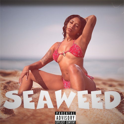 Seaweed