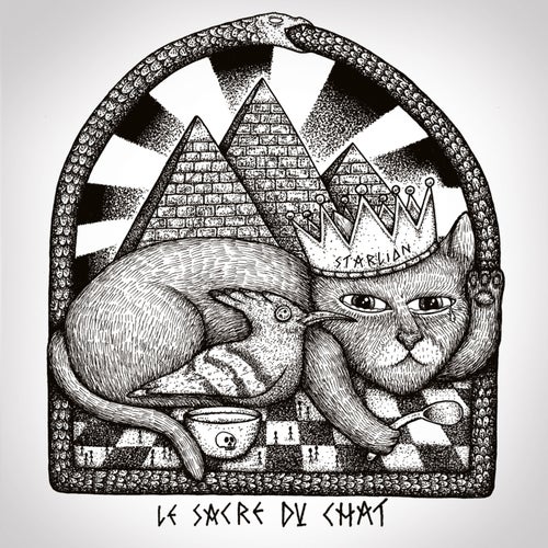 Le sacre du chat
