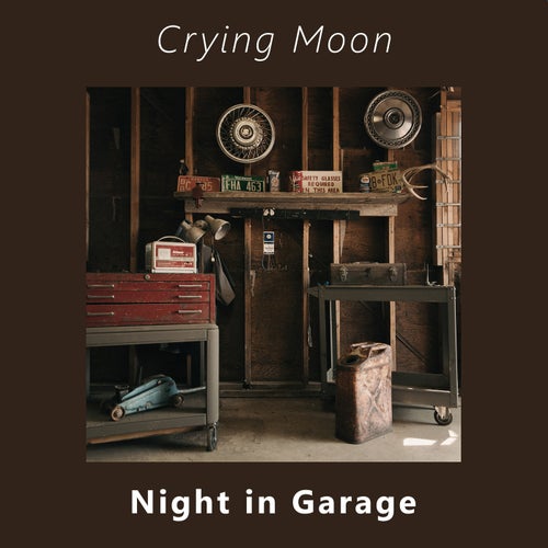 Night in Garage