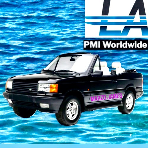 LA PMI WORLDWIDE
