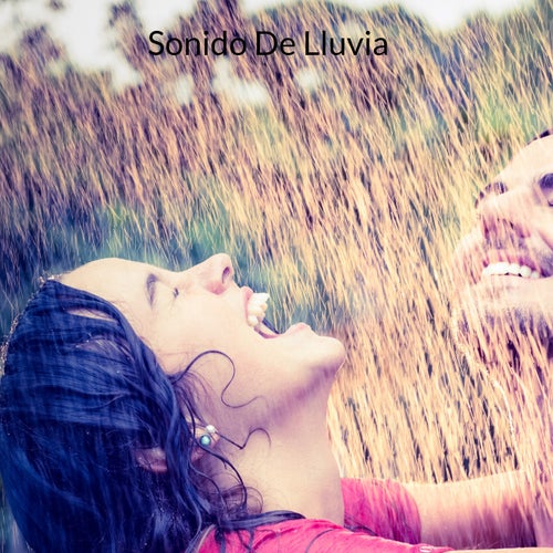 Sonido De Lluvia