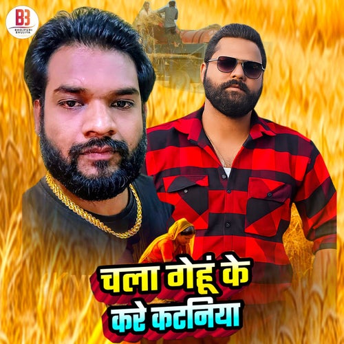 Chala Gehu Ke Kare Katniya